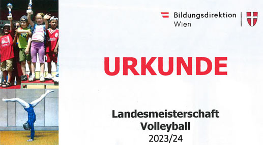 Urkunde Volleyball